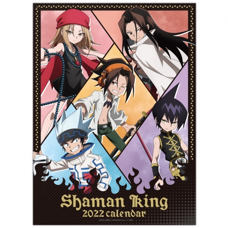 続きを読む: SHAMAN KING