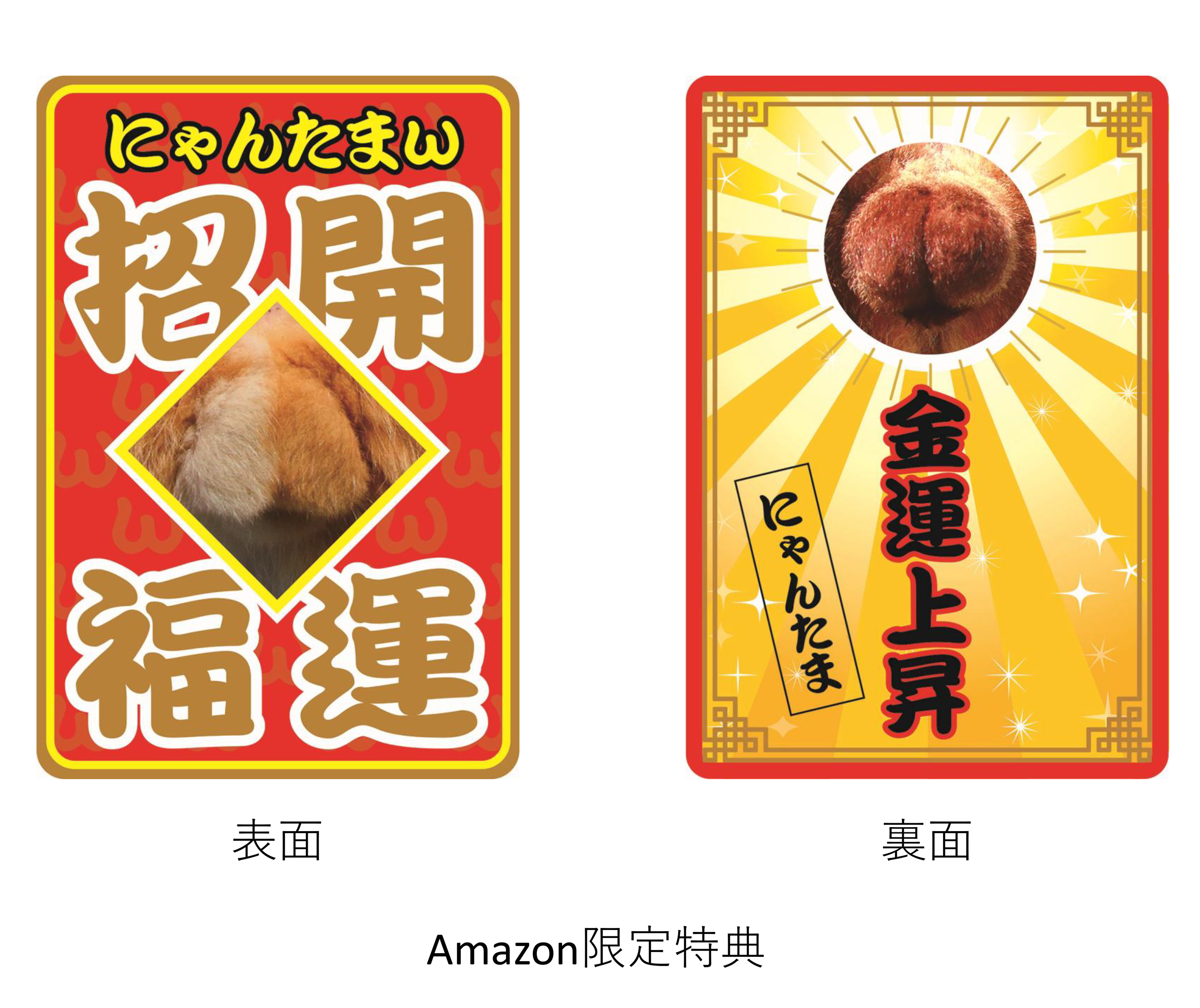 ②にゃんたま