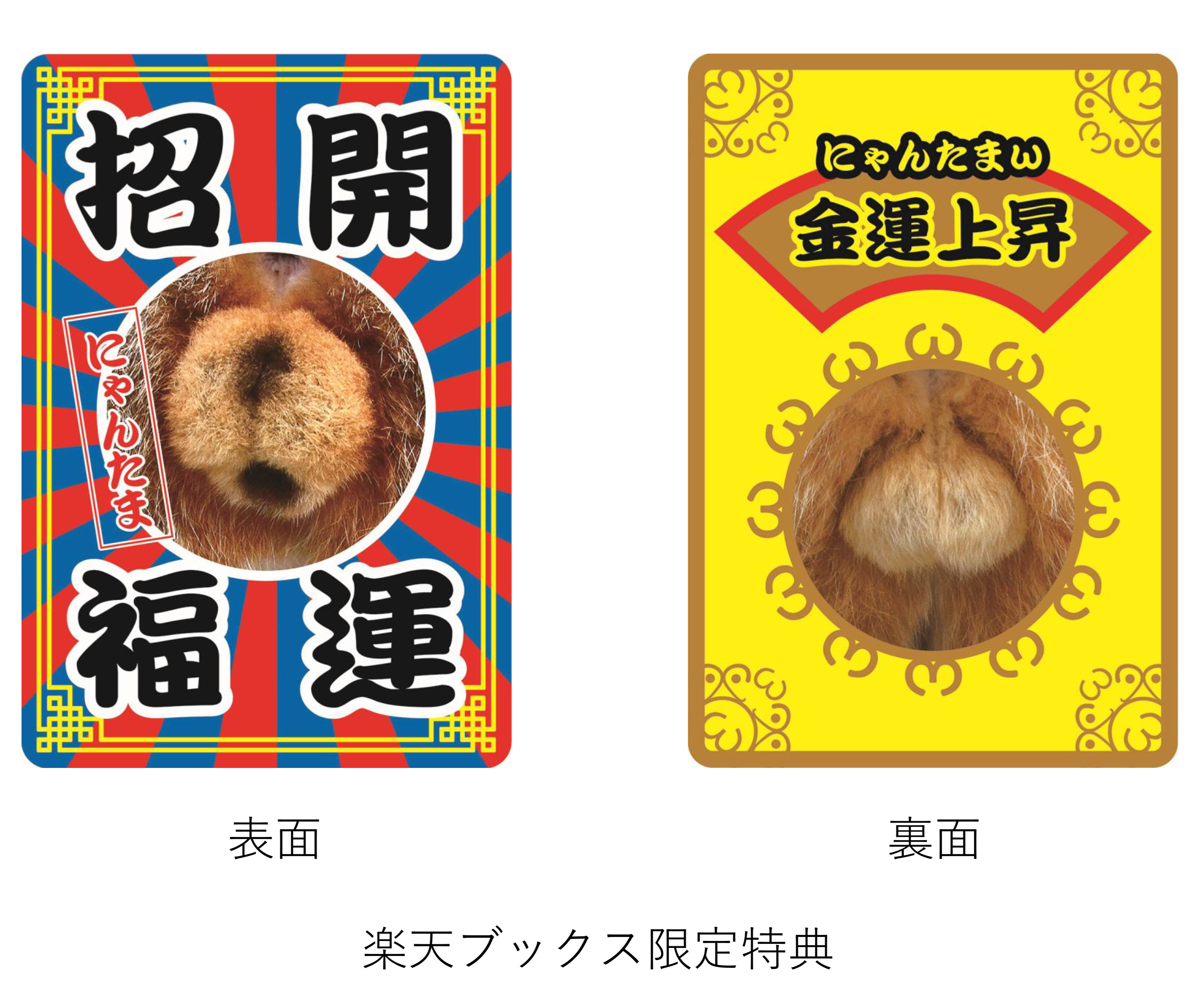 ③にゃんたま