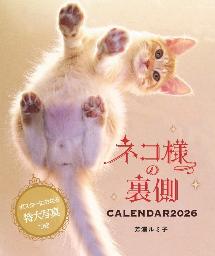 ④ネコ様の裏側