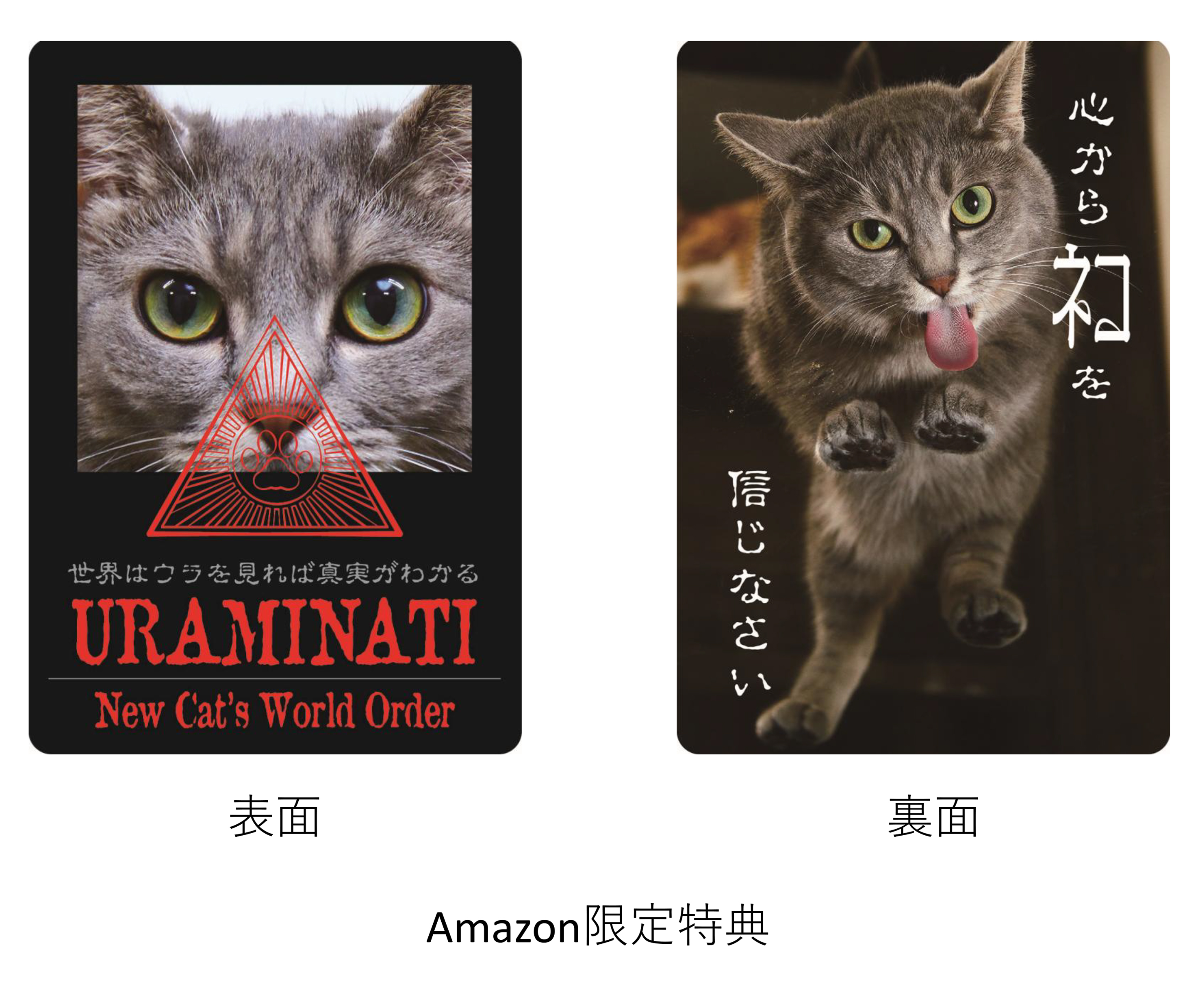 ⑤ネコ様の裏側